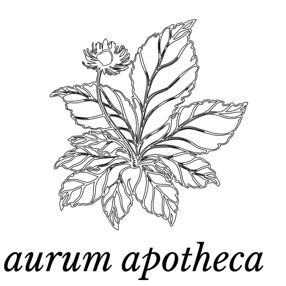The botanical is drawn in one line weight so it prints at any size.