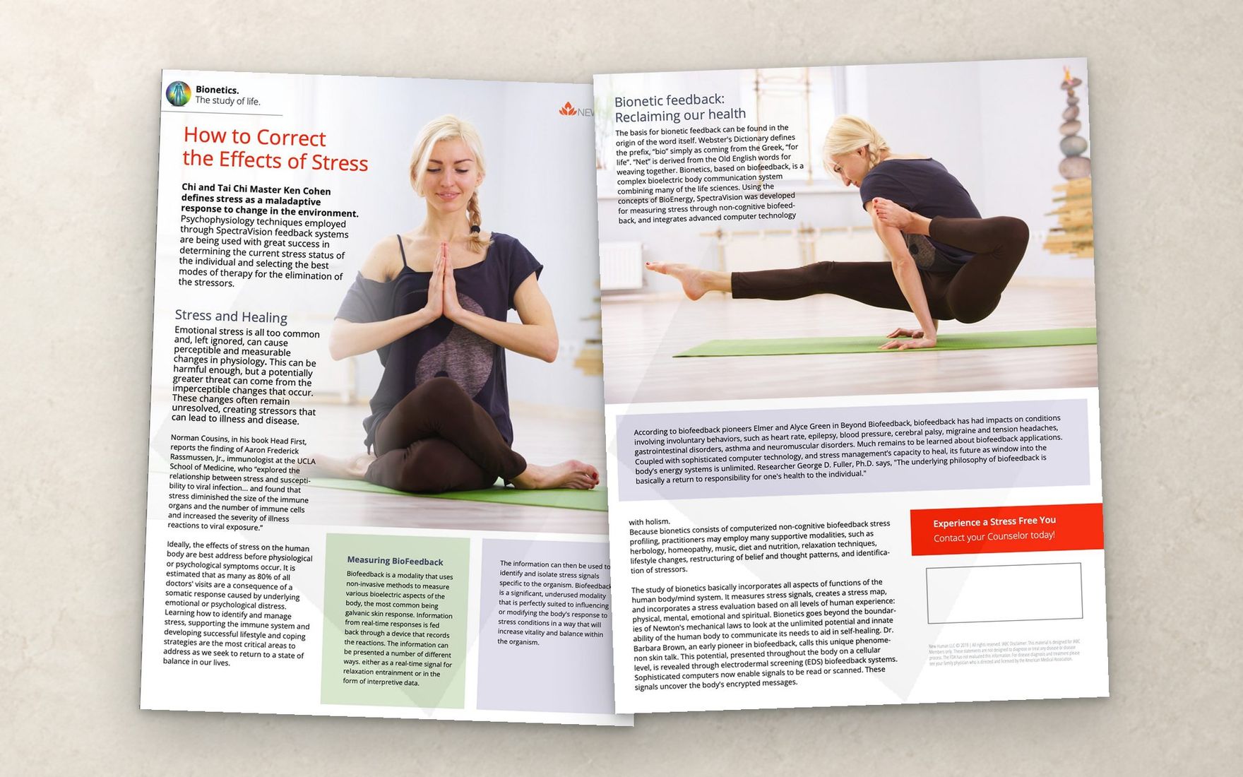 Flyer 2, front and back