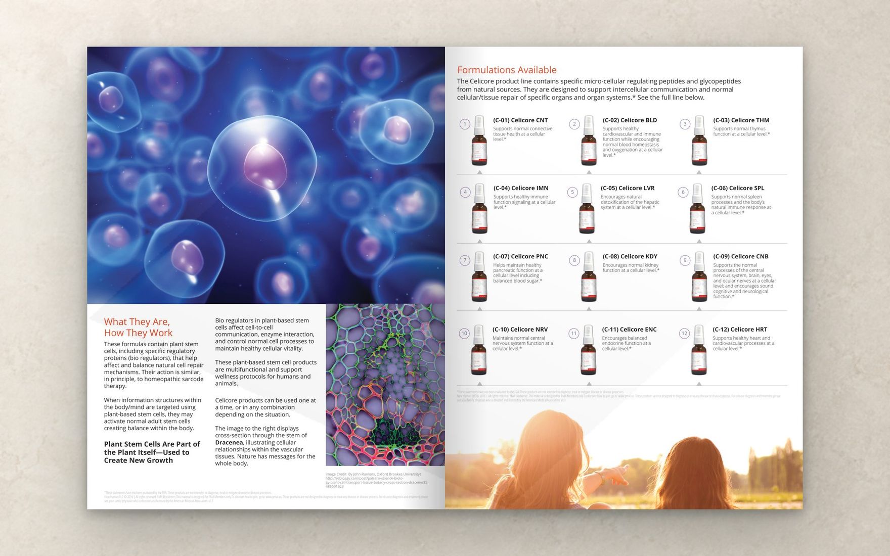 Catalog spread: the science page and the first formulation grid