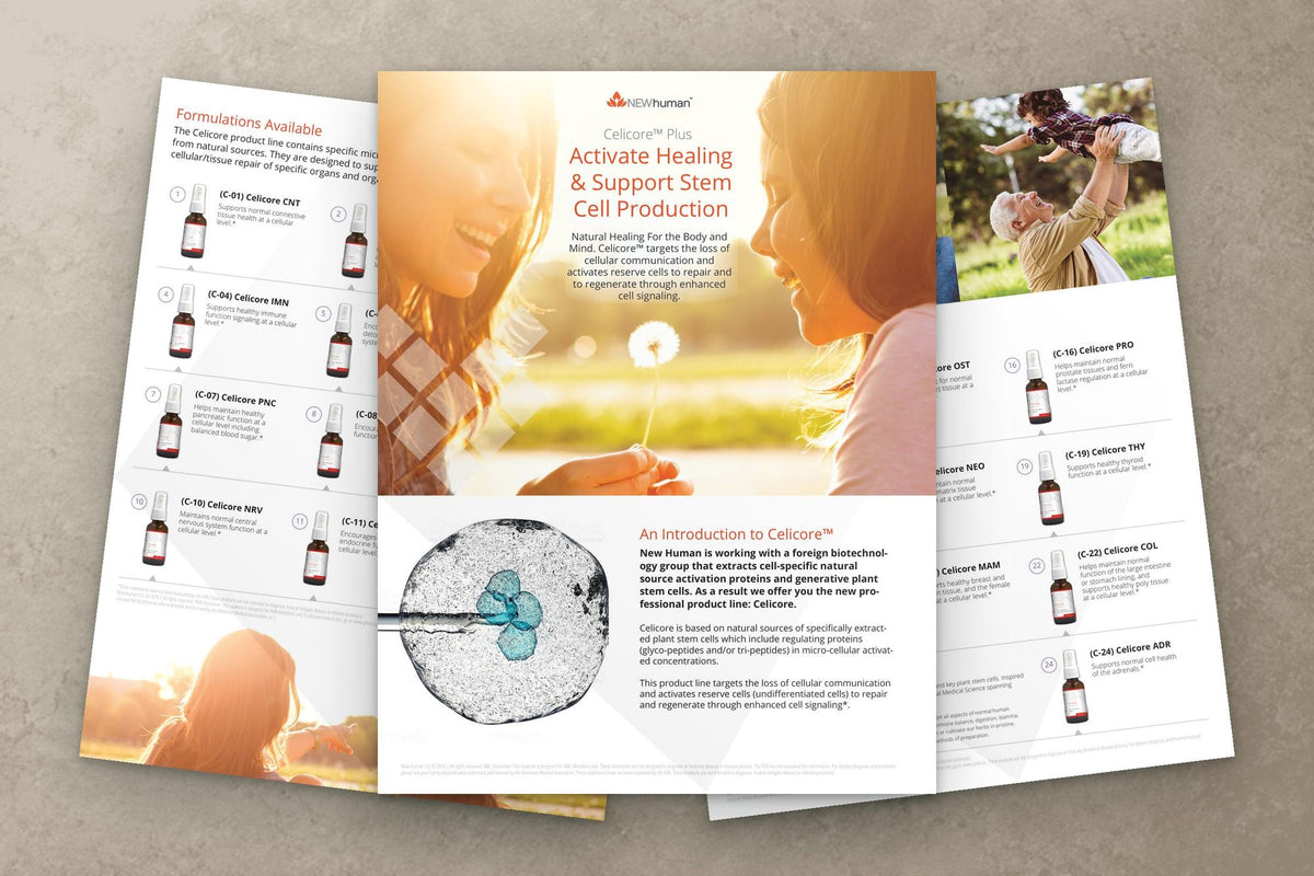 Celicore product catalog: Celicore catalog cover with formulation pages
