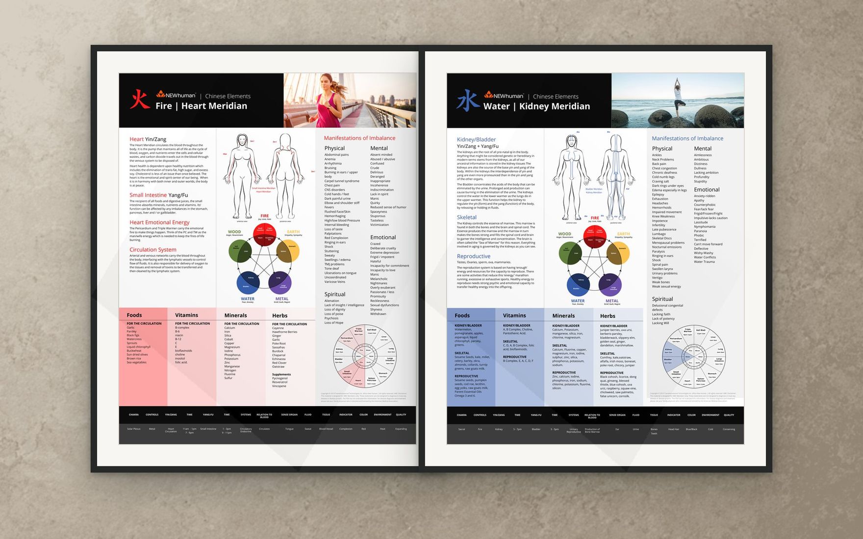 Fire and Water posters framed for a practitioner office
