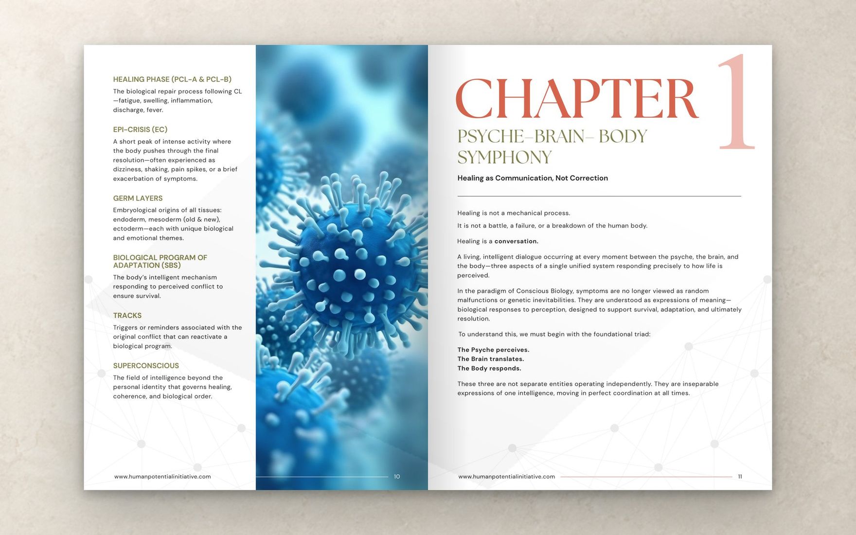 Chapter one opener spread
