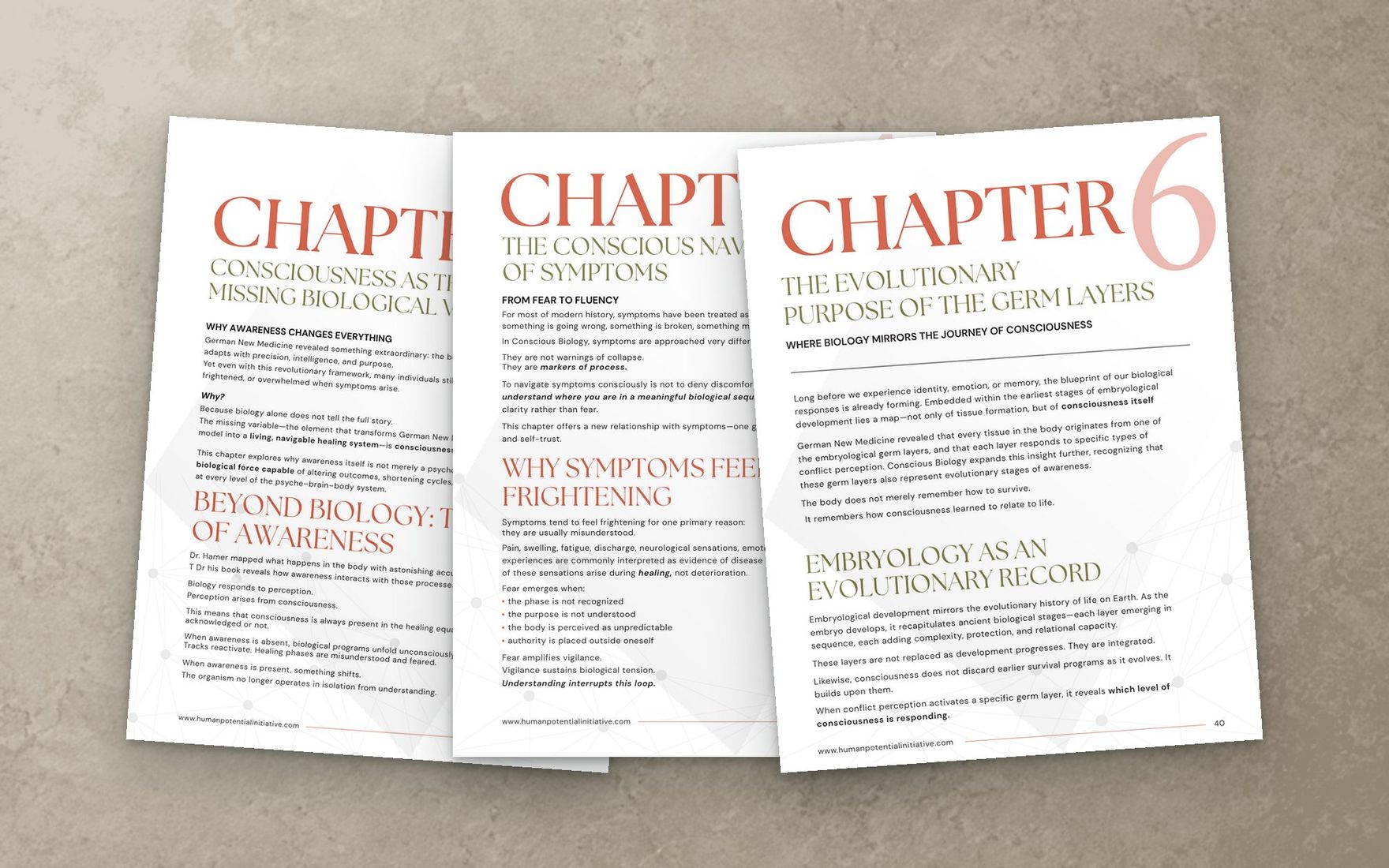 Chapter openers repeat the same numeral device