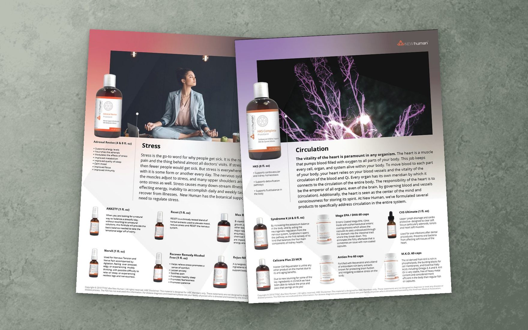 Stress and Circulation education flyers in one layout
