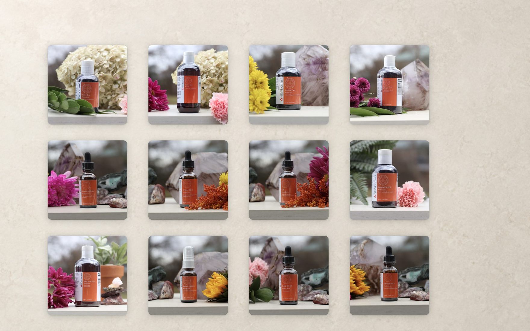 Twelve of the forty-two photographs from the session