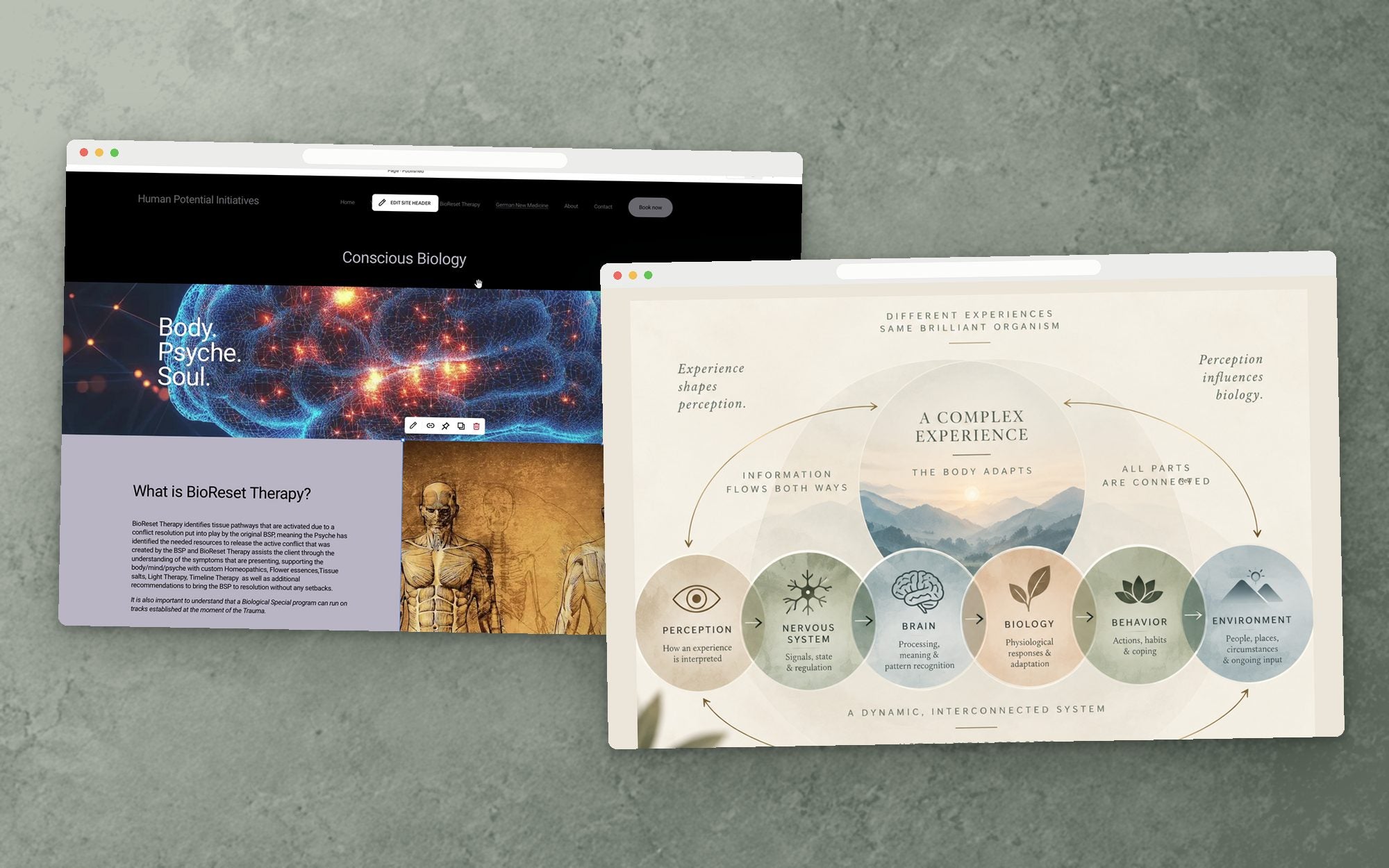 The page before the session, and the rebuilt Conscious Biology page after it